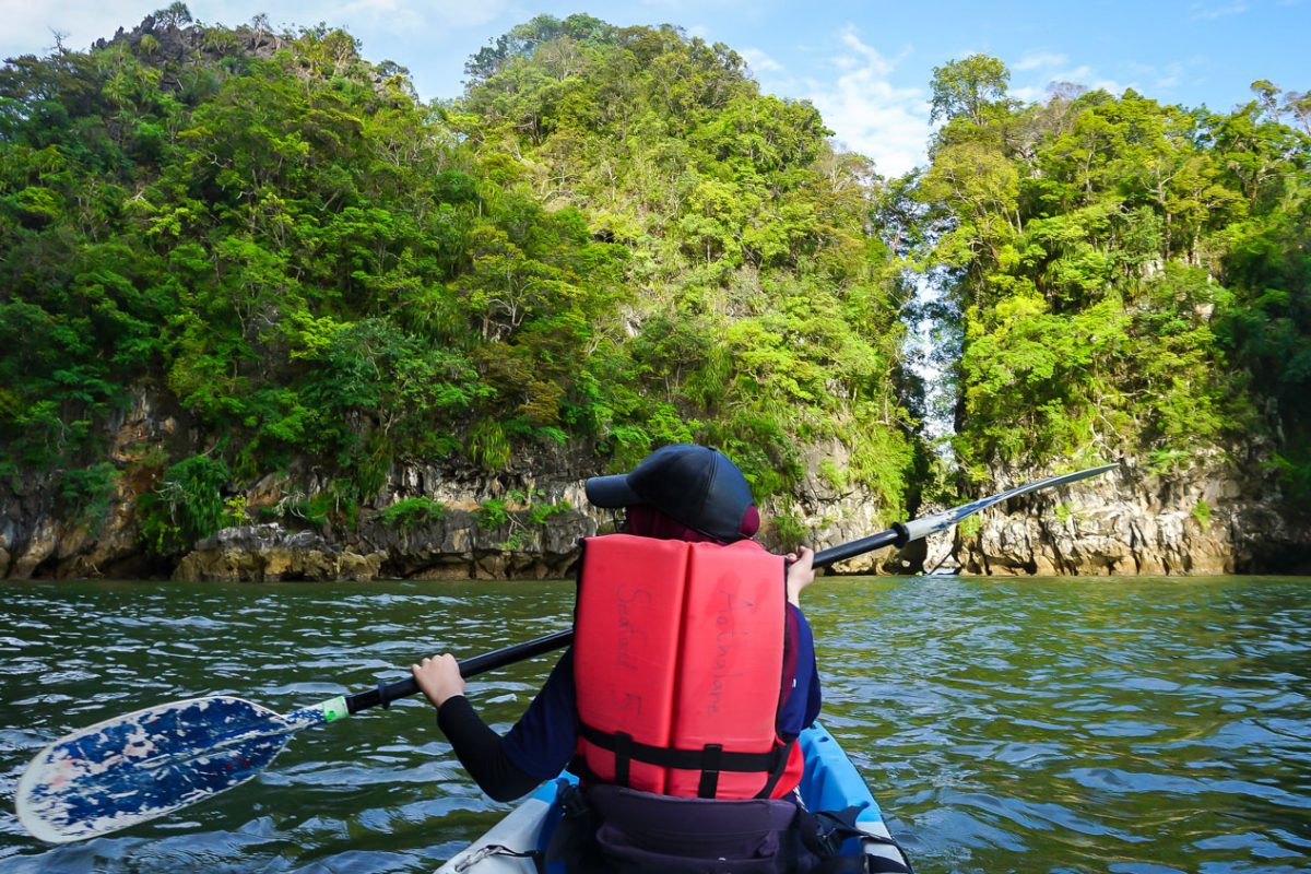 A person is kayaking in Ao Thalin to enjoy the beauty of Thailandâ€™s mangrove and sea.
